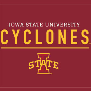 Iowa State University Athletic Text Xbox 360 (Includes HDD) Skin